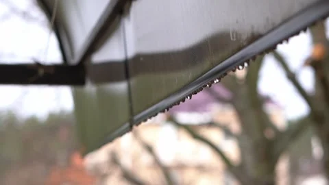 Raindrops falling from the canopy in slow motion Stock Footage 152962192