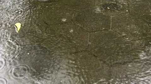 Raindrops falling on the cement surface Stock Footage 170074410