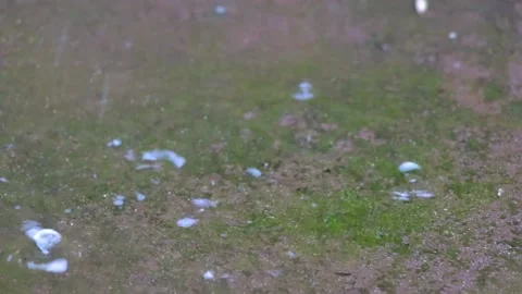 Raindrops falling on concrete Stock Footage
