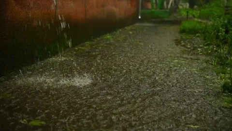 Raindrops falling creating rhythmic pattern on water-covered surface with small Stock Footage 328635266