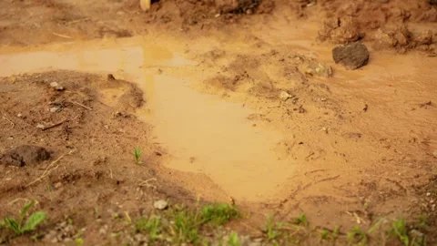 Raindrops falling creating ripples in muddy puddle Stock Footage 341294376