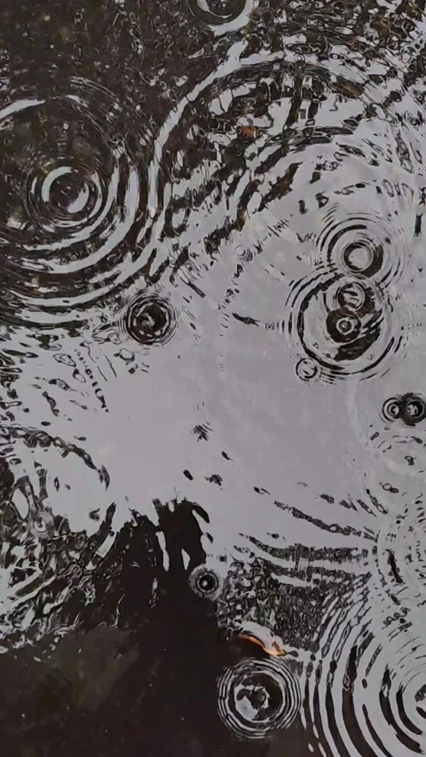 Raindrops falling creating ripples in puddle. Видео 333286784