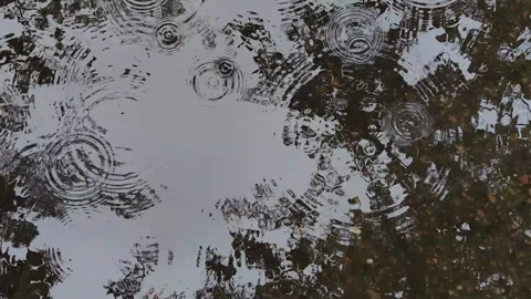 Raindrops falling creating ripples in puddle. 库存影片 334860810