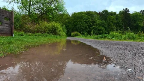 Raindrops falling creating ripples in a puddle Vidéo 335355908