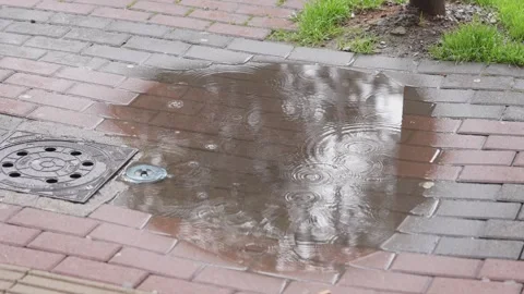 Raindrops falling creating ripples in puddle on brick sidewalk Stock Footage 336000699