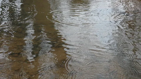 Raindrops  Falling on Creek Video stock 260838653