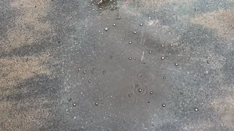 Raindrops falling into dirty puddle on asphalt road, with bubbles  Stock Footage 333510907