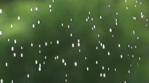 Raindrops falling down at green background Stock Footage 51804601
