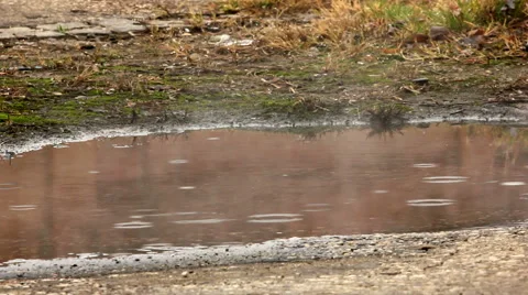 Raindrops falling on evaporating puddle Stock Footage 46778744