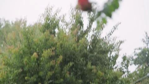 Raindrops falling. Falling raindrops Stock Footage 262534401