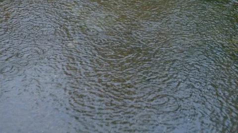 Raindrops falling onto flooded ground Stock Footage 113485902