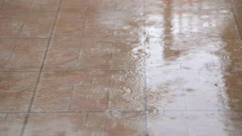 Raindrops falling on the floor Stock Footage 151906528