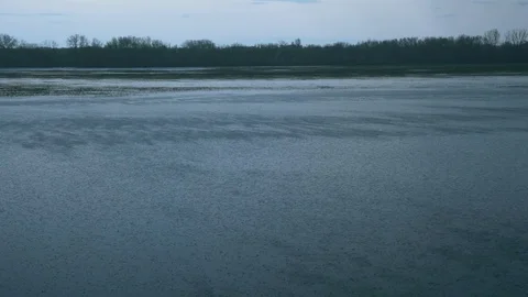 Raindrops falling on a forest lake at dusk Stock Footage 108583491