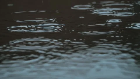 Raindrops falling gently on a tranquil water surface create a peaceful natural Stock Footage 310169881