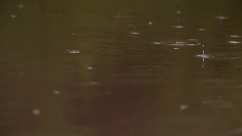Raindrops falling gently onto the waters surface create beautiful ripples and Stock Footage 310169862