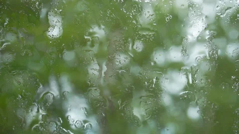 Raindrops falling on glass on blurred background of green trees. Stock Footage 112293235