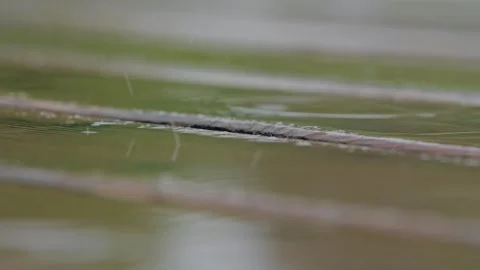 Raindrops Falling On Green Leaf Surface With Soft Natural Background In Close Up Stock Footage 348123566