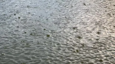 Raindrops falling on grey water surface creating ripples and bubbles with ove Stock Footage 340245520
