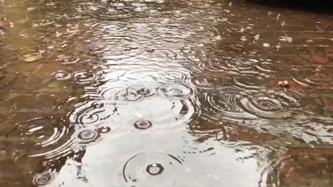 Raindrops Falling on Ground and Puddles Stock Footage 307902057