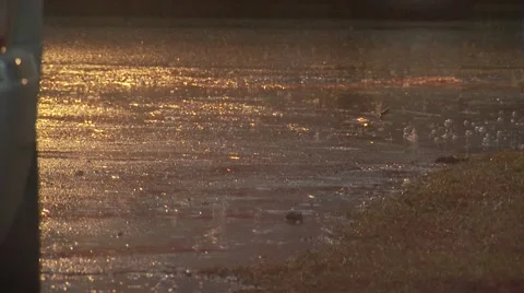 Raindrops falling on ground Stock Footage 55570268