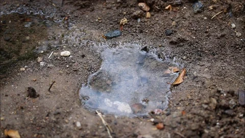 Raindrops falling on the ground Video stock 156045084