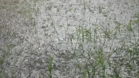 Raindrops falling on the ground surface Stock Footage 324531730