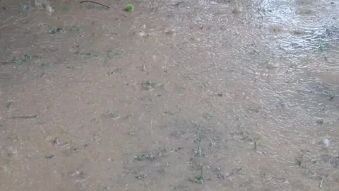 Raindrops falling on the ground surface Stock Footage 324531734