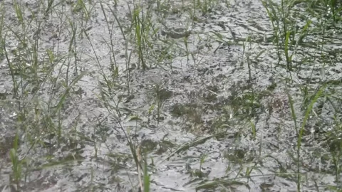 Raindrops falling on the ground surface Stock Footage 324531742