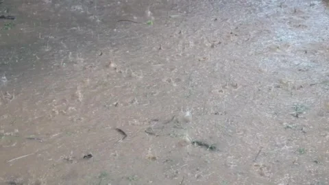 Raindrops falling on the ground surface Stock Footage 324531747
