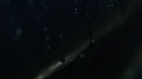 Raindrops falling into the ground. Water drops falls on the black surface 動画素材 70725019