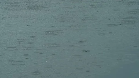 Raindrops Falling On The Lake Video stock 238545172