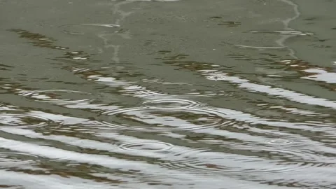 Raindrops falling on the lake Video stock 243023292