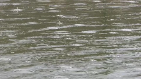 Raindrops falling on the lake Video stock 243259032