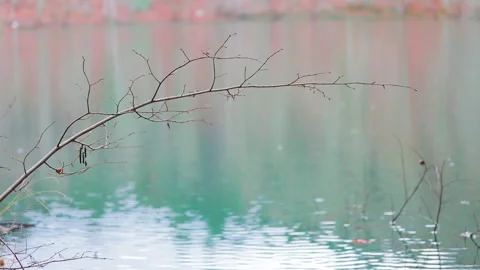 Raindrops falling on the lake. View of Yedigoller National Park in Turkey. Stock Footage 144394072