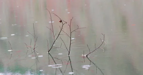 Raindrops falling on the lake. View of Yedigoller National Park in Turkey. Vídeos de archivo 144394812
