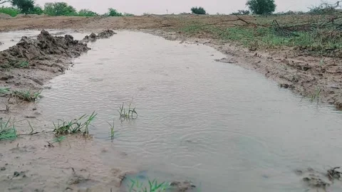 Raindrops Falling Into Large Puddle On Muddy Rural Dirt Road Stock Footage 333493783