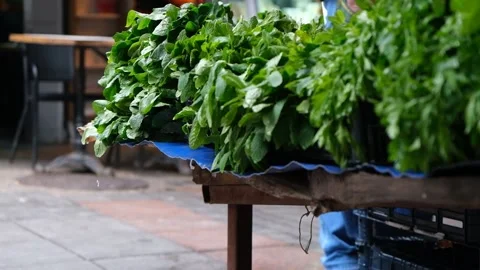 Raindrops falling from leaves Stock Footage 170830941