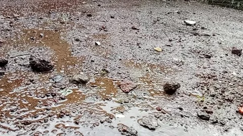 Raindrops falling on muddy ground, Stock Footage 316400815