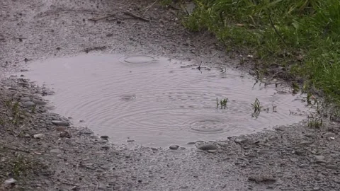 Raindrops Falling into Muddy Puddle Stock Footage 312752673