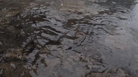 Raindrops Falling into Muddy Puddle on Ground Stock Footage 328929513