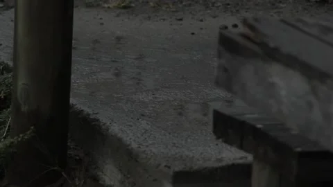 Raindrops falling next to the rural floor Stock Footage 233382107