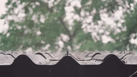 Raindrops Falling on Old Tiled Roof with Tree Branch in Calm Natural Setting Stock Footage 310032408