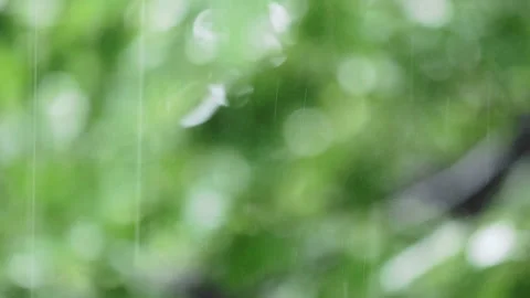 Raindrops falling over blurred green background Stock Footage 132759398