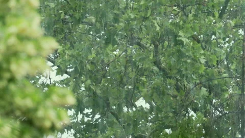 Raindrops falling over blurred green background Stock Footage 132759432