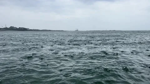 Raindrops falling on the overflowing sea Stock Footage 206755217