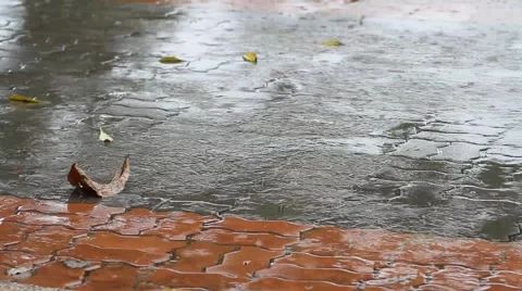 Raindrops falling on pavement Stock Footage 56442673