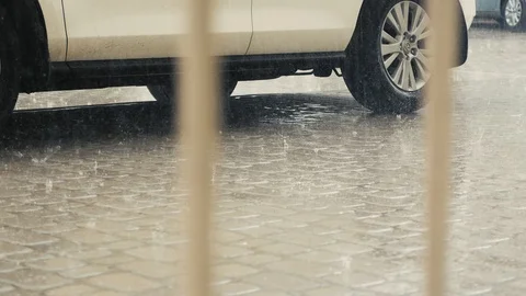 Raindrops falling on the pavement Stock Footage 89293556