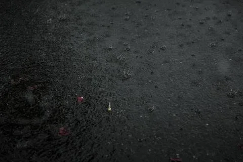 Raindrops falling on a pond Stock Photos