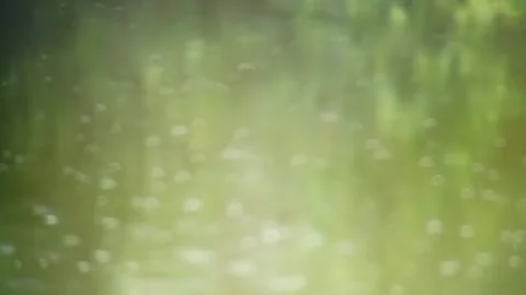 Raindrops falling in the pond on a rainy day Stock Footage 254167913