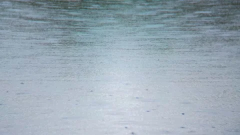 Raindrops falling in the pond on a rainy day Stock Footage 254168034